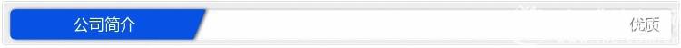 公司簡介