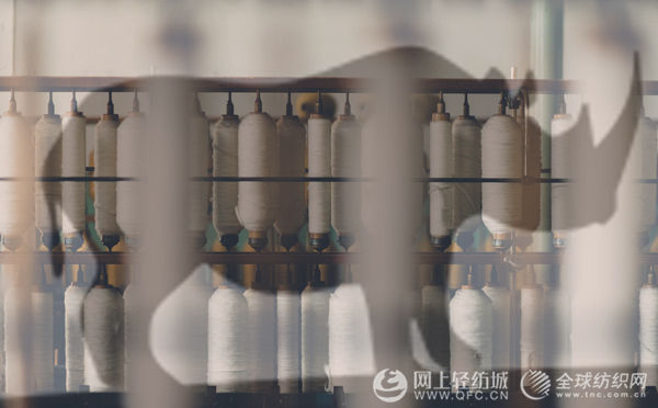 2020年或将影响纺织行业的两只灰犀牛!