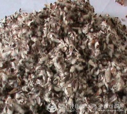 什么是棉籽壳 棉籽壳是什么 棉籽壳作用