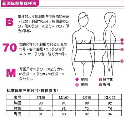 三围是哪三围三围怎么测量三围尺码图 全球纺织网资讯中心