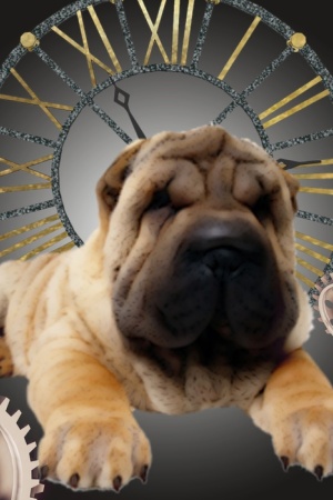 衬衫 抽象 动物 大牌风 欧美 #1076358