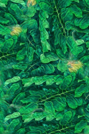 抽象 女装 绿植树叶 油画花型 热带花型 油 #1010775