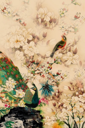 孔雀 玉兰花 花卉 花鸟 定位花 #916020