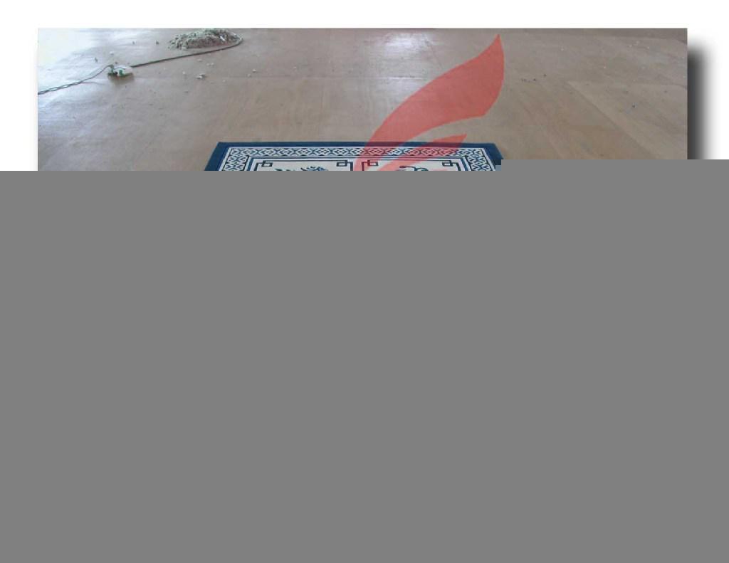 北京金宝华地毯厂供应纯羊毛手工枪刺胶背工程地毯